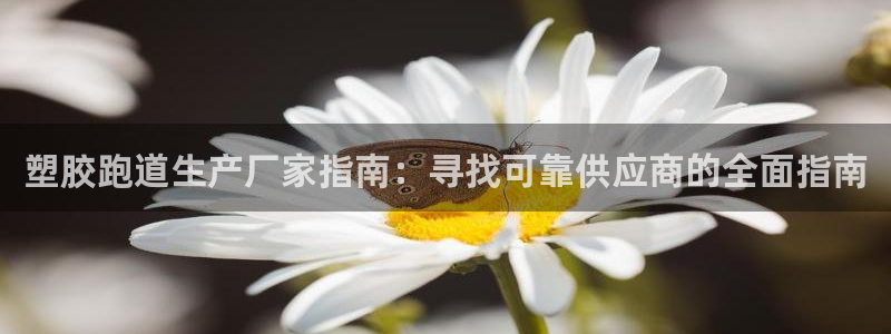 百度红足一1是干什么的：塑胶跑道生产厂家指南：寻找可靠供应商的全面指南