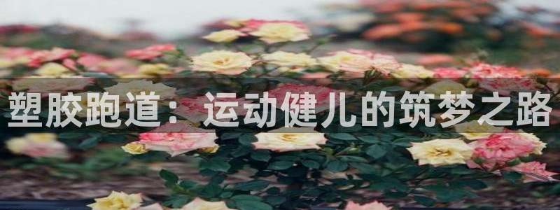 红足一1世666814足球：塑胶跑道：运动健儿的筑梦之路