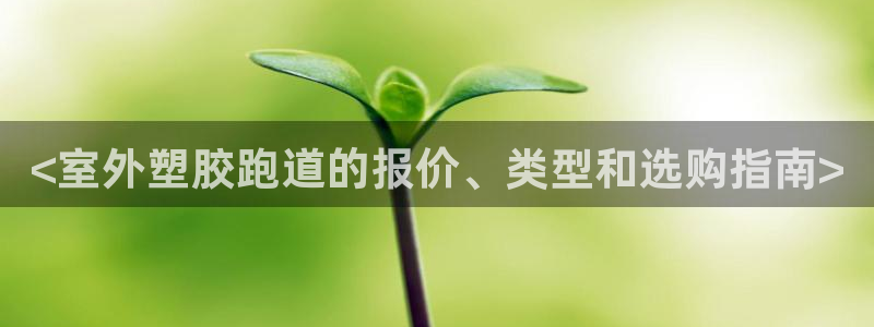 红足一：<室外塑胶跑道的报价、类型和选购指南>
