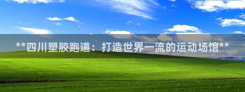 红足1世官网：**四川塑胶跑道：打造世界一流的运动场馆**