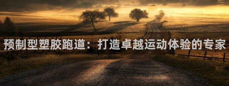 红足一1世比分：预制型塑胶跑道：打造卓越运动体验的专家