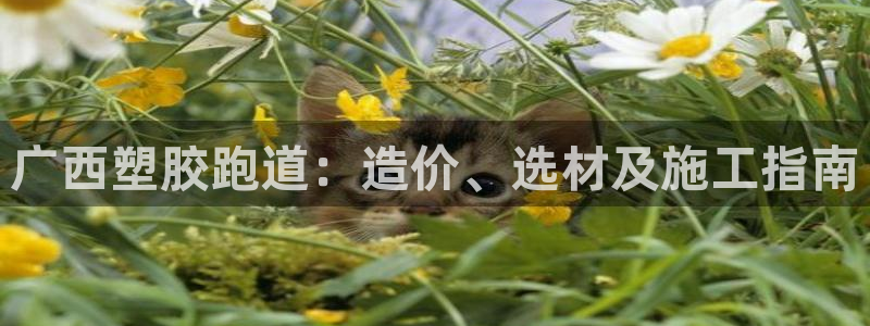66814红足一66814世：广西塑胶跑道：造价、选材及施工指南