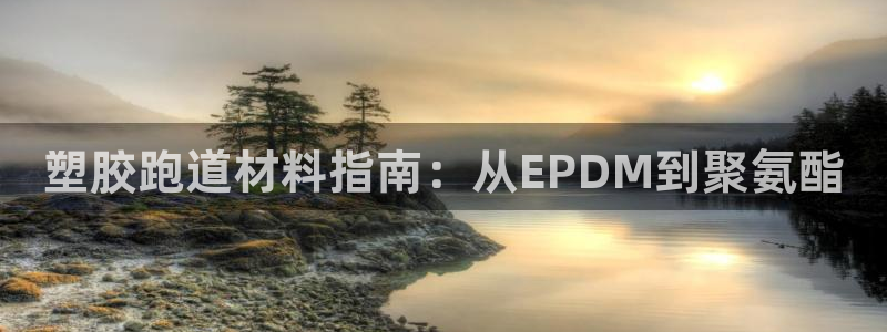 红姐现场直播开奖记录：塑胶跑道材料指南：从EPDM到聚氨酯