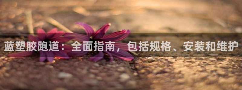 红足1世足球：蓝塑胶跑道：全面指南，包括规格、安装和维护