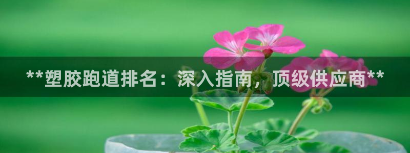 77814红足1世：**塑胶跑道排名：深入指南，顶级供应商**