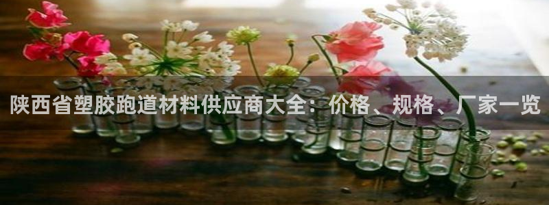 红足1世手足球比分：陕西省塑胶跑道材料供应商大全：价格、规格、厂家一览