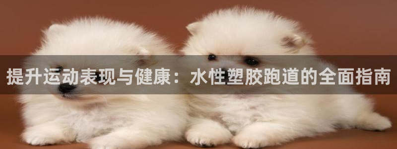 红足1世足球比分网址：提升运动表现与健康：水性塑胶跑道的全面指南