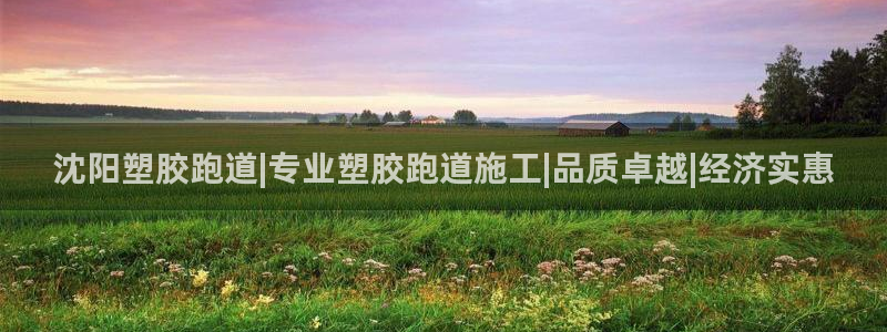 红足一1世666814最新结果：沈阳塑胶跑道|专业塑胶跑道施工|品质卓越|经济实惠