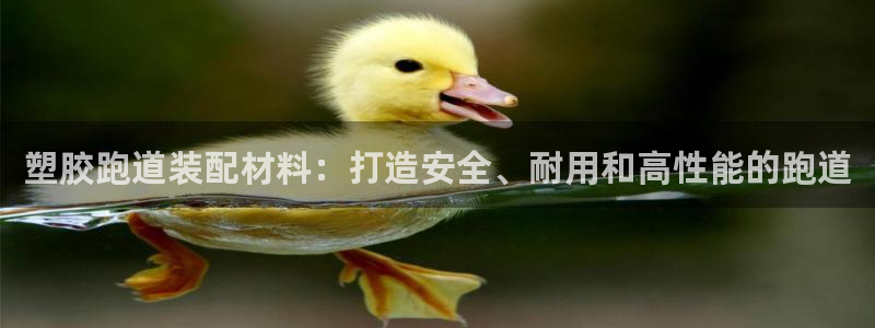 红足一一世