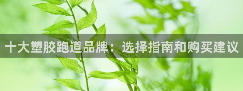 红足一1世手机版赛果：十大塑胶跑道品牌：选择指南和购买建议