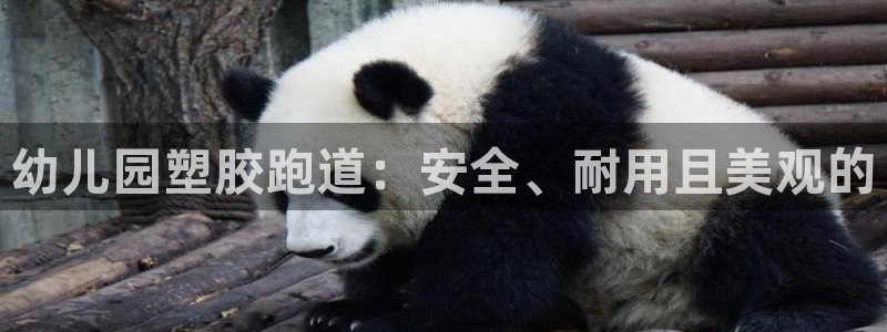 4633333开奖结果4176一点红：幼儿园塑胶跑道：安全、耐用且美观的