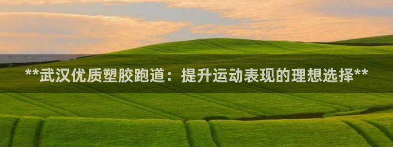 红足一1世即时比分：**武汉优质塑胶跑道：提升运动表现的理想选择**