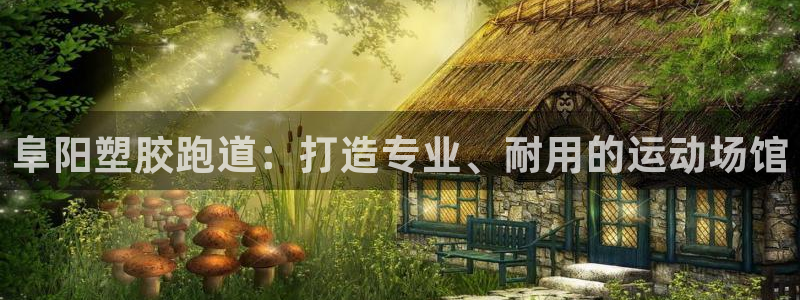 红足一1世77814：阜阳塑胶跑道：打造专业、耐用的运动场馆