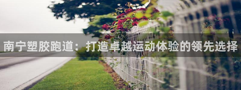 红足1世官网：南宁塑胶跑道：打造卓越运动体验的领先选择