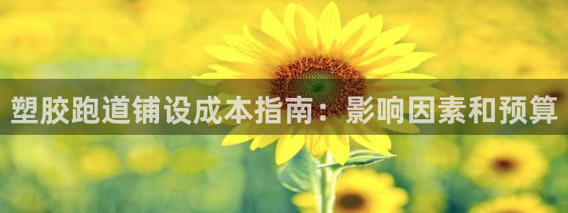 红足1世足球网址：塑胶跑道铺设成本指南：影响因素和预算