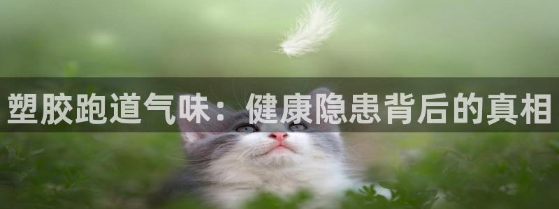 红足一1世666814足球比分网：塑胶跑道气味：健康隐患背后的真相
