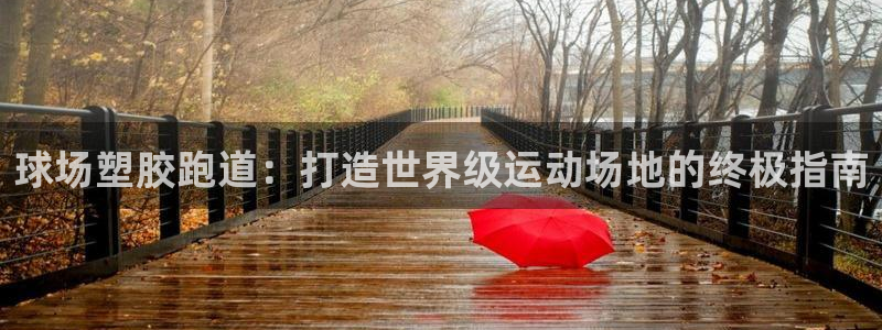 红足1世足球网址：球场塑胶跑道：打造世界级运动场地的终极指南