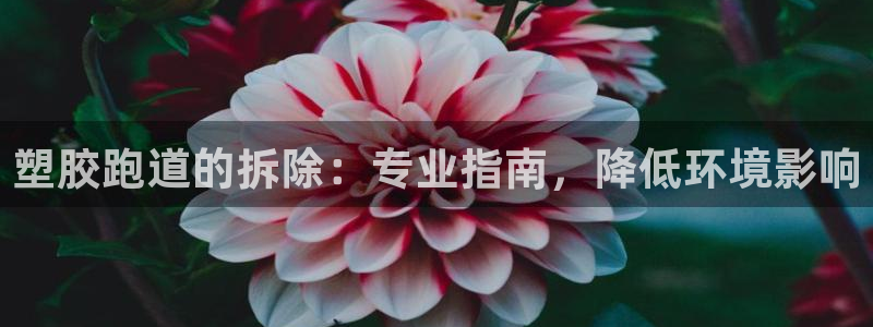 红足一一世：塑胶跑道的拆除：专业指南，降低环境影响