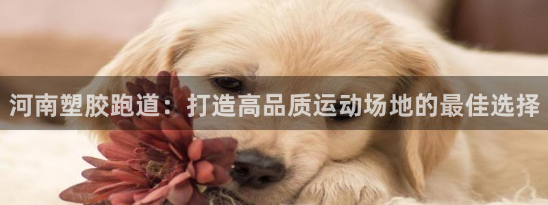 777814红·足一世：河南塑胶跑道：打造高品质运动场地的最佳选择