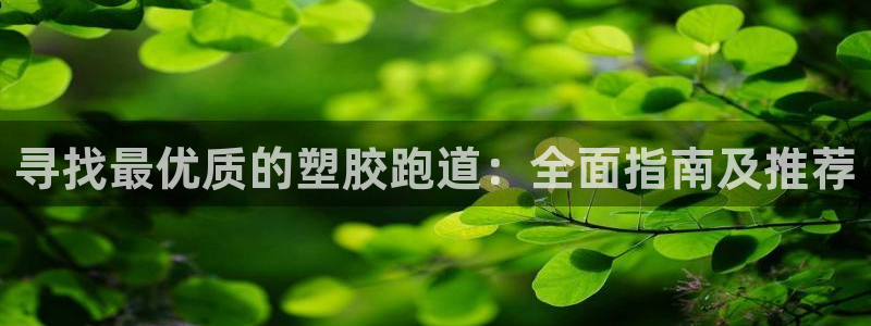 百度红足一1世：寻找最优质的塑胶跑道：全面指南及推荐