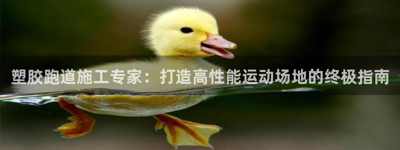 红足1世足球比分预测：塑胶跑道施工专家：打造高性能运动场地的终极指南
