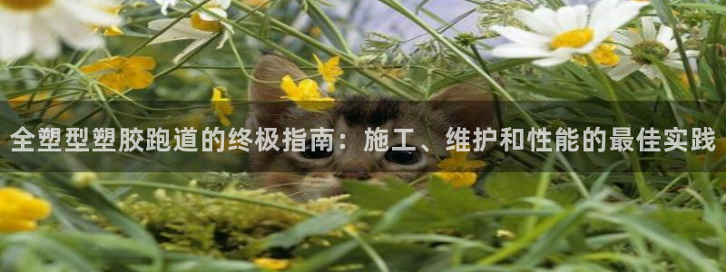 红足一1世官网：全塑型塑胶跑道的终极指南：施工、维护和性能的最佳实践