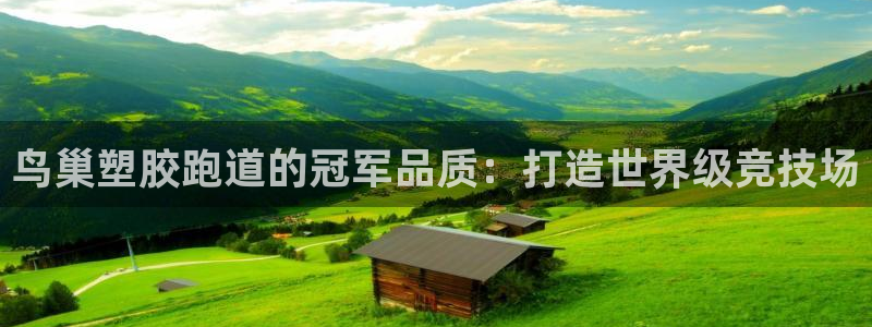 红足一1世：鸟巢塑胶跑道的冠军品质：打造世界级竞技场
