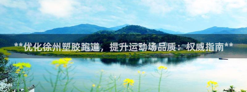 44814红足：**优化徐州塑胶跑道，提升运动场品质：权威指南**