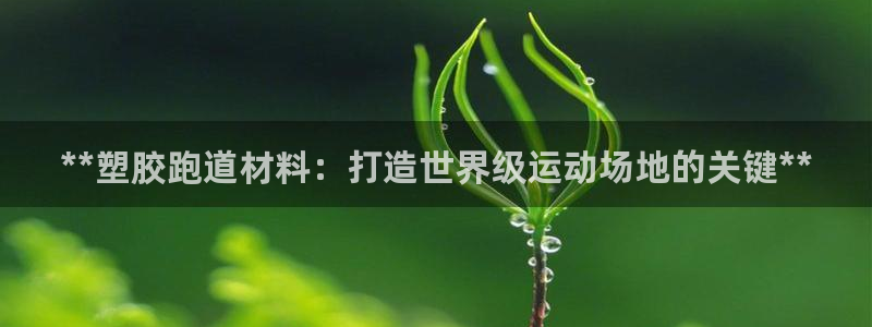 红足1一世：**塑胶跑道材料：打造世界级运动场地的关键**