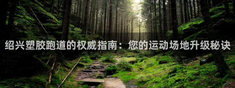 红足1世足球比分预测：绍兴塑胶跑道的权威指南：您的运动场地升级秘诀