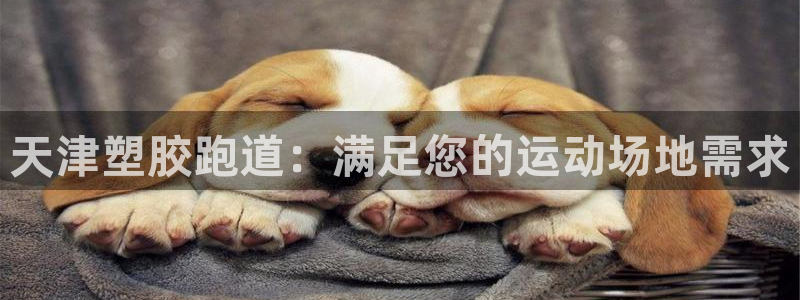 红足一1世比分：天津塑胶跑道：满足您的运动场地需求