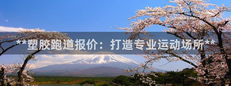 百度红足一1使用说明：**塑胶跑道报价：打造专业运动场所**