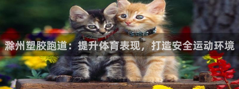 新2足球平台出租网站：滁州塑胶跑道：提升体育表现，打造安全运动环境