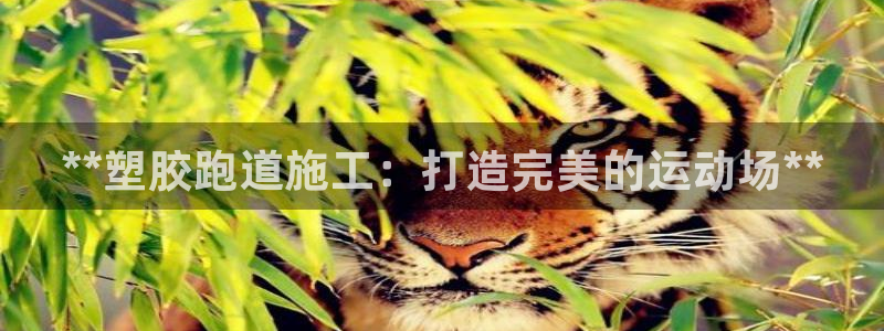 红足1世手足球比分：**塑胶跑道施工：打造完美的运动场**