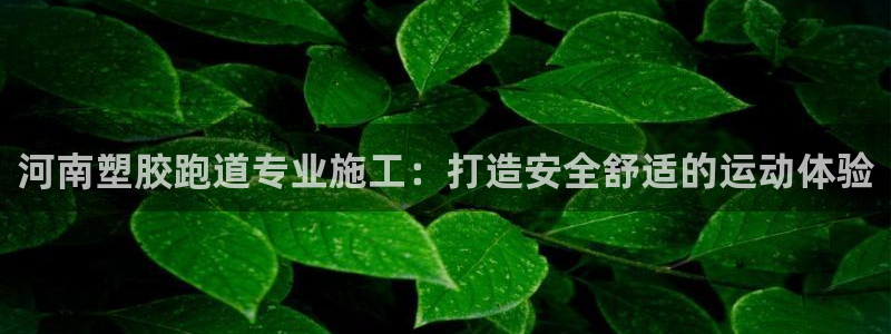 百度红足一1使用说明：河南塑胶跑道专业施工：打造安全舒适的运动体验