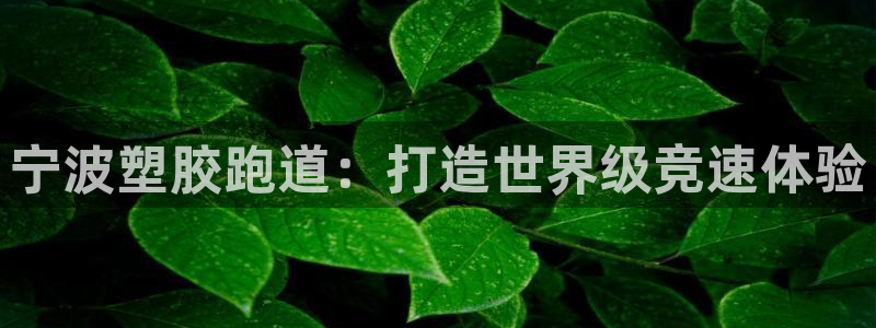 777814红·足一世：宁波塑胶跑道：打造世界级竞速体验