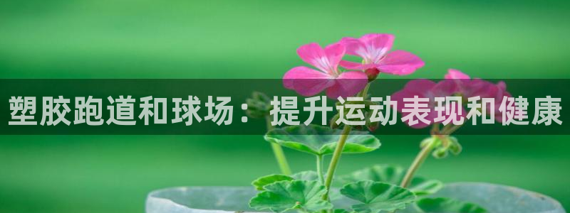 红足体育网：塑胶跑道和球场：提升运动表现和健康