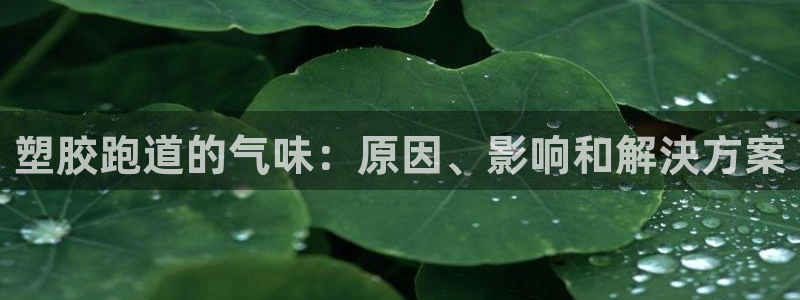 红足1一世