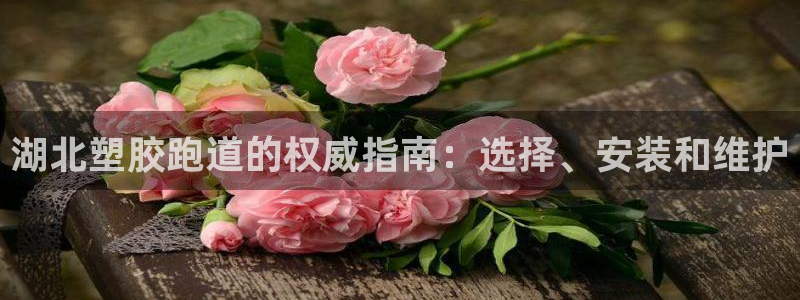 红足一1世66814新宝：湖北塑胶跑道的权威指南：选择、安装和维护