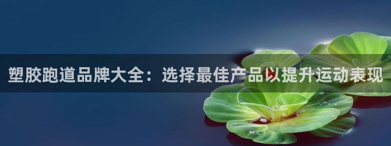 红足一比分网