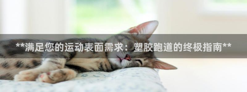 红足1一世开奖版：**满足您的运动表面需求：塑胶跑道的终极指南**