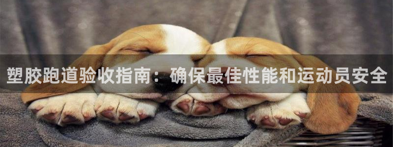 红足一1世开奖记录：塑胶跑道验收指南：确保最佳性能和运动员安全