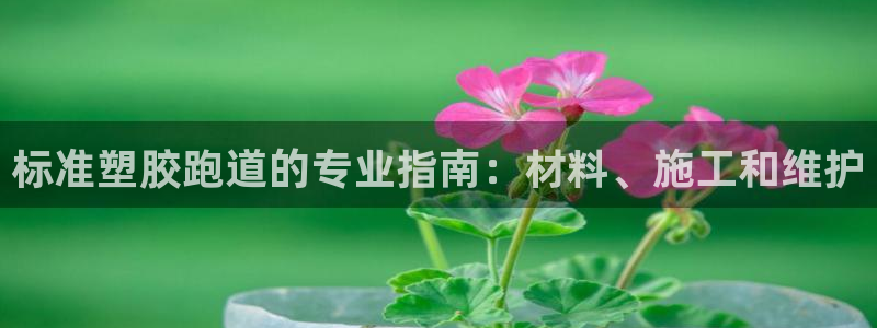 66814红足一66814世