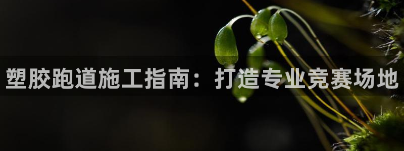 红足1世足球比分网址：塑胶跑道施工指南：打造专业竞赛场地