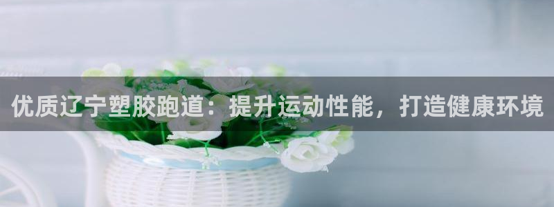 百度红足一1视频在线观看：优质辽宁塑胶跑道：提升运动性能，打造健康环境