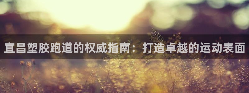 红足一1世手机开奖