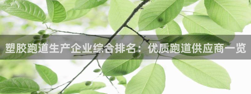 红足一1世：塑胶跑道生产企业综合排名：优质跑道供应商一览