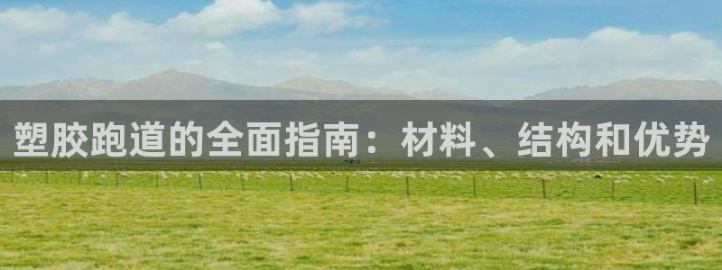 红足 世足球手机网：塑胶跑道的全面指南：材料、结构和优势