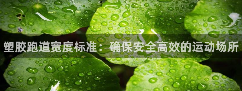 77814红足1世：塑胶跑道宽度标准：确保安全高效的运动场所