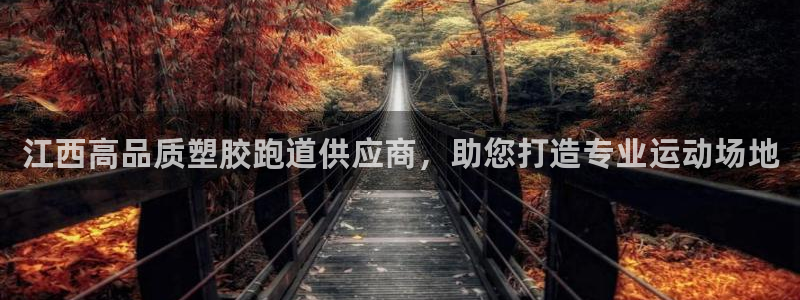 44814红足：江西高品质塑胶跑道供应商，助您打造专业运动场地